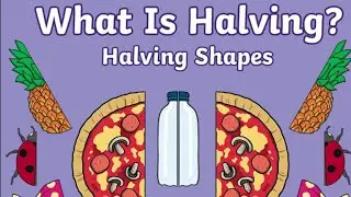 Let's explore halving with Ms.Zaib