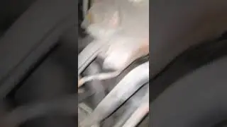 Chevy Silverado 4l60e 5.3L V8 4x4 (Front end noise