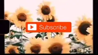 Jeff & Natalie flirting for 2 minutes and 4 seconds (NEW INTRO)