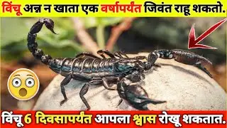 ⚡Top 8 Amazing Facts Marathi🔥| Amazing Facts | Interesting Facts | Fun Facts | Fact Marathi #shorts