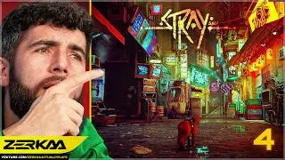 EXPLORING THE CITY (Stray #4)