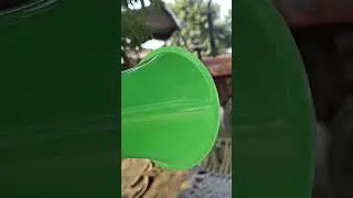 Ipl horn