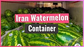 Container of Iran Watermelon for Export to Qatar | EXIM Asian International Trading Group