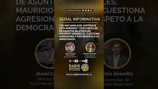 VICECANCILLER MAURICIO JARAMILLO CUESTIONA AGRESIONES Y PIDE RESPETO A LA DEMOCRACIA