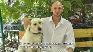 Trailer 2016 RUS ENG3