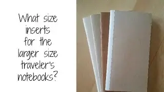 Which inserts for my larger traveler's notebooks?