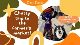 Talking Alaskan Malamute goes to the Farmer's Market!