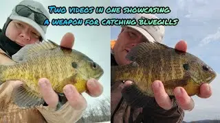 Two videos in one showcasing a weapon to catch big bluegills through the ice.