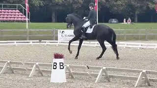 Bourani (Bordeaux x Don Davidorf x Sandro Hit) MA1 landsstævne ) 68.009%