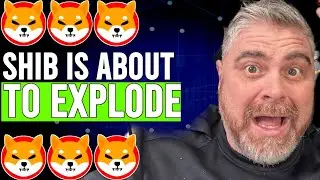 BitBoy Crypto Exposed SHIB is the NEXT Bitcoin! WATCH IF YOU HOLD 1 MILLION SHIBA INU COINS!!