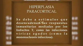 Semana 4 -  Sistema hematopoy&eacute;tico y los &oacute;rganos linf&aacute;ticos Linfoma Hodking
