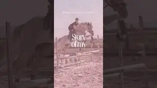Reiter Problem ✨🥲 #pferde #reiten #pferdevideo #cotico #shorts #pferdevlog #reitsport #vlog #horse