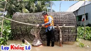 Chiếc LỢP KHỔNG LỒ Dính Hơn 5Kg Cá Tra #187