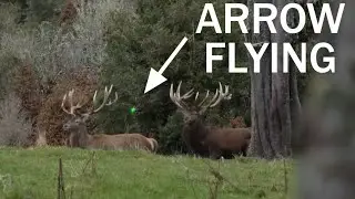 Wildboy II - The Closing (A Bowhunting Film)