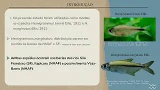 Filogeografia comparada de Hemigrammus Gill nas ecorregi&otilde;es Mata Atl&acirc;ntica Nordeste e S&atilde;o Francisco