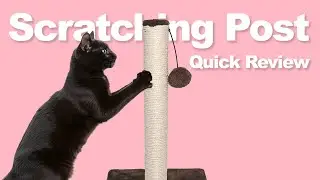 Ram Large Cat Scratching Post 42cm &ndash; Sisal Post with Dangly Ball