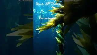 🎶 Music All Th&eacute;rapie &ndash; 1 minute pour se faire du bien 🌿
