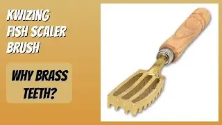 REVIEW (2025): Kwizing Fish Scaler Brush. Features