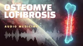 osteomyelofibrosis 🦴 bioresonance audio for bone marrow and cellular balance | audio medicine