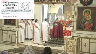 01/11/2026 Martyrdom of St. Stephen Holy Liturgy - Sts. Peter and Paul Church, Southfield, MI