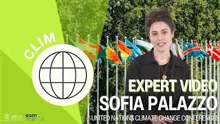 United Nations Climate Change Conferences explained by Sofia Palazzo | CLIM
