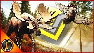 Многопользовательский режим Yukon Valley приносит трофеи нашему домику!