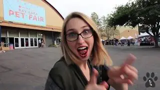 Bay Area Pet Fair 2017
