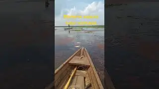 bersama angler pak sukis #gabusmonster #casting #mancingmania #mancing liar #fishing # hobi mancing