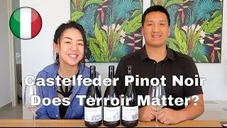 Castelfeder Pinot Noir: Does Terroir Matter?