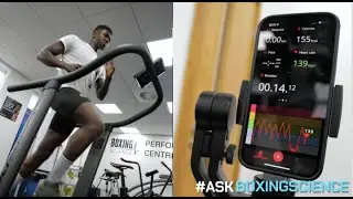 Активный восстановительный забег для бокса | #AskBoxingScience Эпизод 29