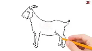 How to Draw a Goat Step by Step Easy for Beginners/Kids &ndash; Simple Goats Drawing Tutorial