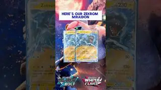 Zekrom ex W/ Miraidon Deck | Black Bolt & White Flare | Pokemon TCG