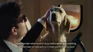 TOP 5 DOG BREEDS BILLIONAIRES BUY - PETS OF THE ULTRA RICH