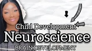 Child Development-From Birth to 3 Years Old || Psychology || Neuroscience || Ettienne-Murphy