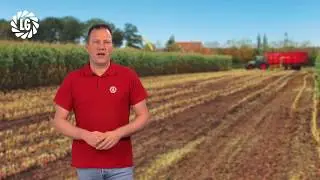 Zo zaai je vroeg je vanggewas zonder opbrengstverlies