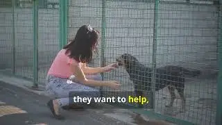 Beware! of Fake Animal Rescue Videos