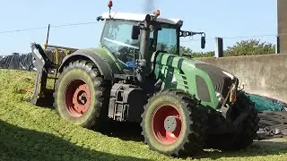 Maize Harvest 2020 - Buckraking on the Clamp with Reverse Drive Fendt 924 Vario