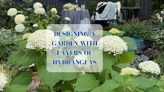 Small Space? DESIGN WITH LAYERS OF HYDRANGEAS | 4 Seasons of interest and low maintenance 🌸🌿🌺