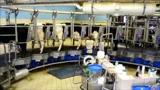 Pas de vie, sans Éleveur : Roto de Traite Boumatic 22 Places !