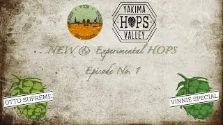 New & Experimental Hops Ep. 1