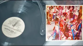 A Plank of Willow Wood 🌿 | Ukrainian Folk Song on Vinyl &ndash; Pure Emotion | MoodDiscovery