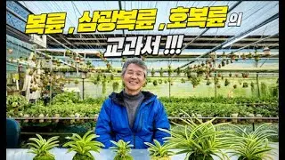 문향원 유성태 대표 2차 2편 인터뷰. '복륜, 삼광복륜, 호복륜의 교과서'