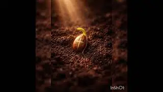 Planted the Seed