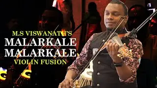 MALARKALE MALARKALE | VIOLIN | M.S VISWANATH |  VIOLIN FUSION | VIDYASAGAR