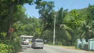 Driving Through Bogwalk Gorge | Jamaica