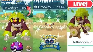 Hunting✨️Shundo Rillaboom On Community Day In #PokemonGo