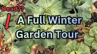 Full Winter Garden Tour! | Some stuff is Dead! #viralvideo #garden #gardentour #januarygarden #viral