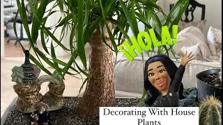 Succulents | House Plants | Spring Home Decorating With House Plants | Home Decor 2023