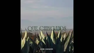 QUE CHINGADOS - Pato S&aacute;nchez 