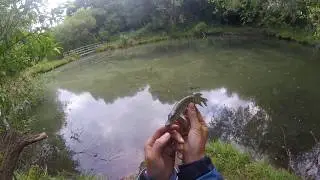 How To Unhook A  Deep Throated Hooked Fish